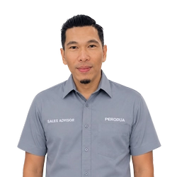 Perodua Nibong Tebal